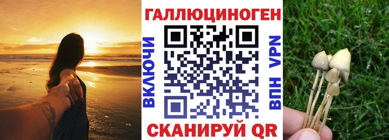 Псилоцибиновые грибы мухоморы  Пушкино 